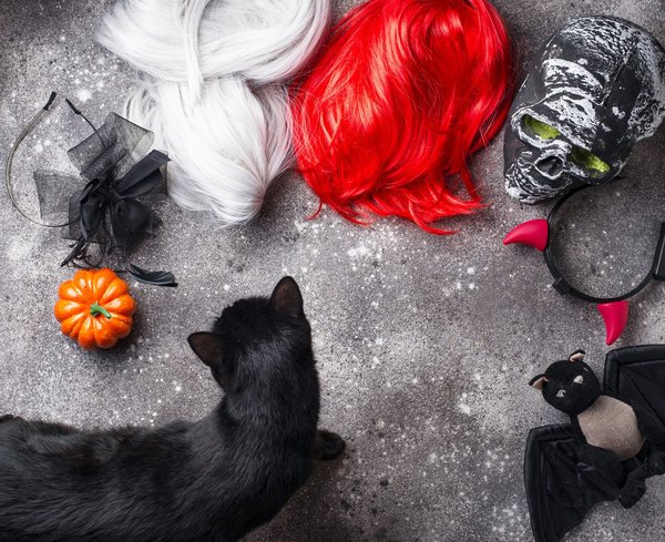 Dénichez vos articles gothiques dans la boutique gohtique